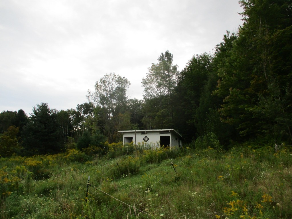 454 Beech Ridge Road Harpursville, NY 13787 - Photo 4 of 48 Gallery Image 4