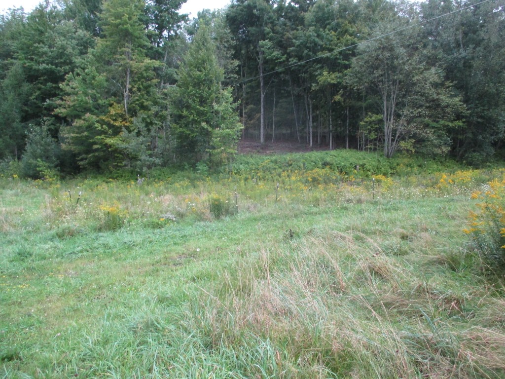 454 Beech Ridge Road Harpursville, NY 13787 - Photo 45 of 48 Gallery Image 45