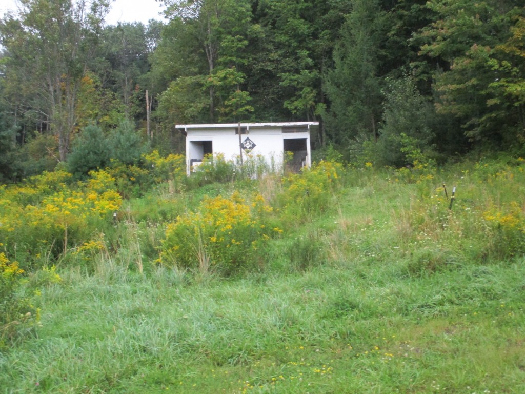 454 Beech Ridge Road Harpursville, NY 13787 - Photo 46 of 48 Gallery Image 46