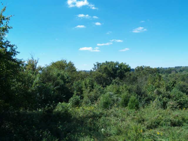 8 Old Tva Road Columbia, TN 38401 - Photo 3 of 19 Gallery Image 3
