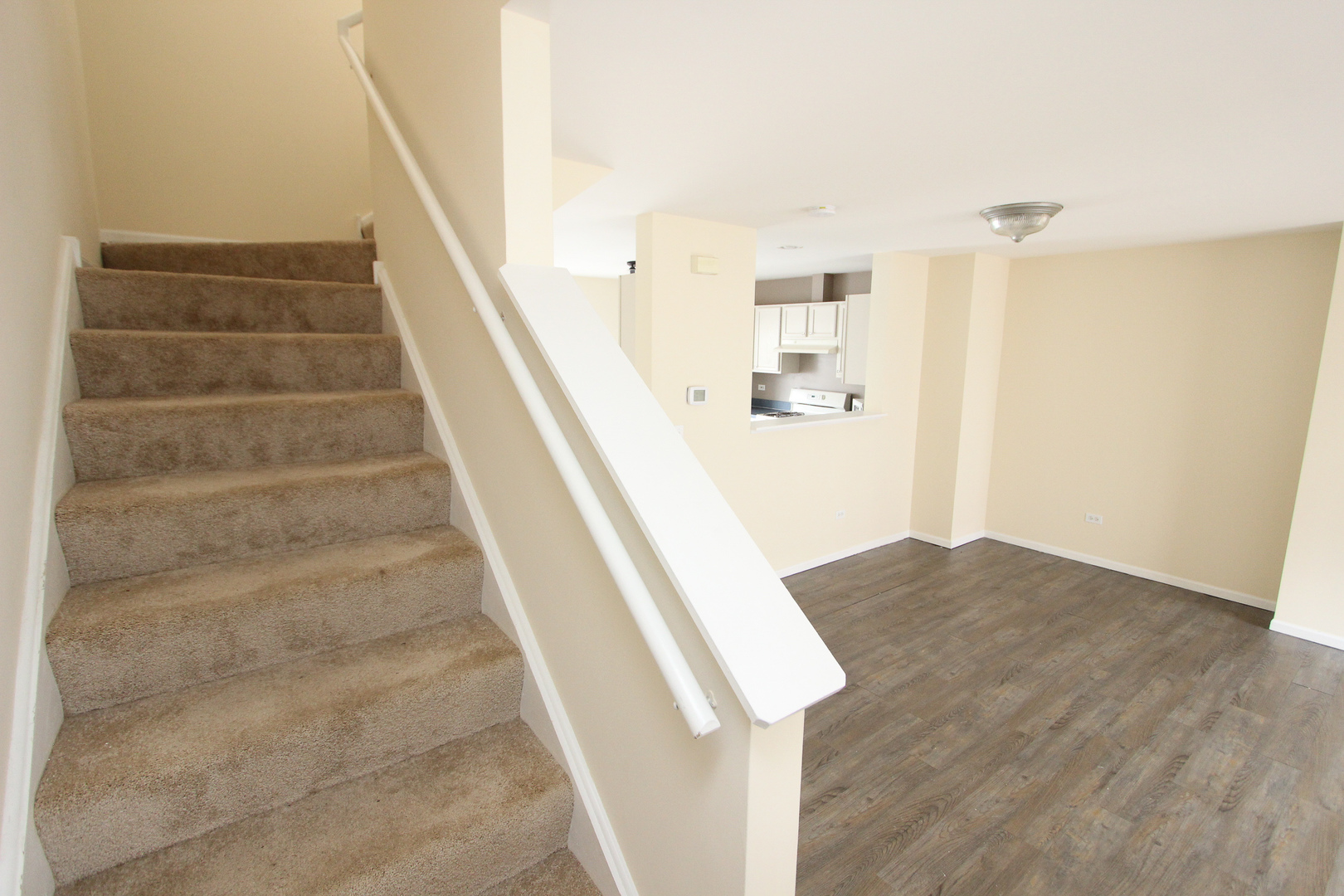 34345 North Goldenrod Road Round Lake, IL 60073 - Photo 12 of 25