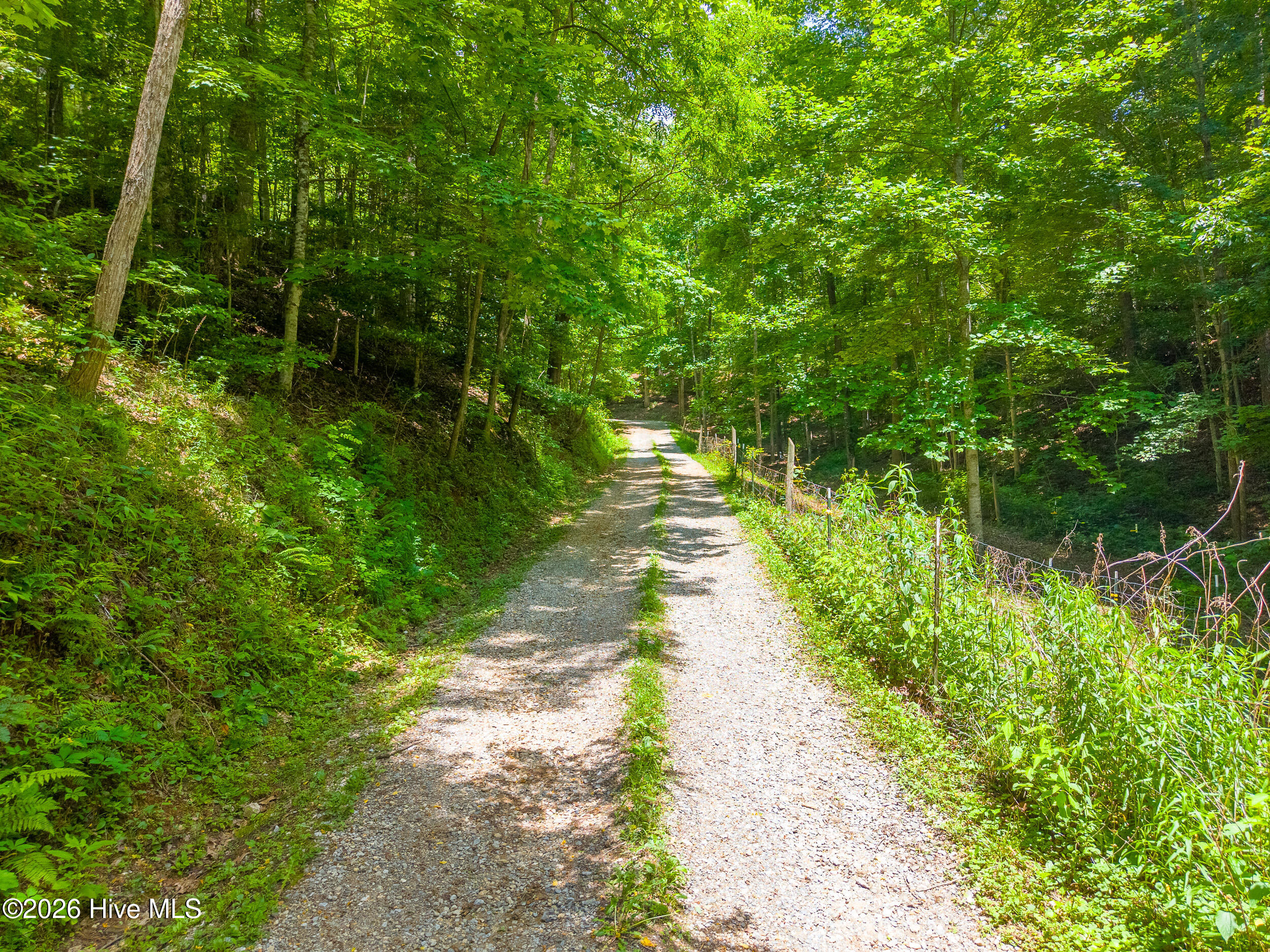 1044 Shell Stand Road Almond, NC 28702 - Photo 47 of 74