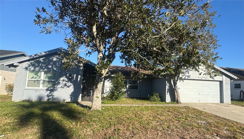 13016 Sirius Lane Hudson, FL 34667 - Photo 1 of 13 a view of a house with a tree