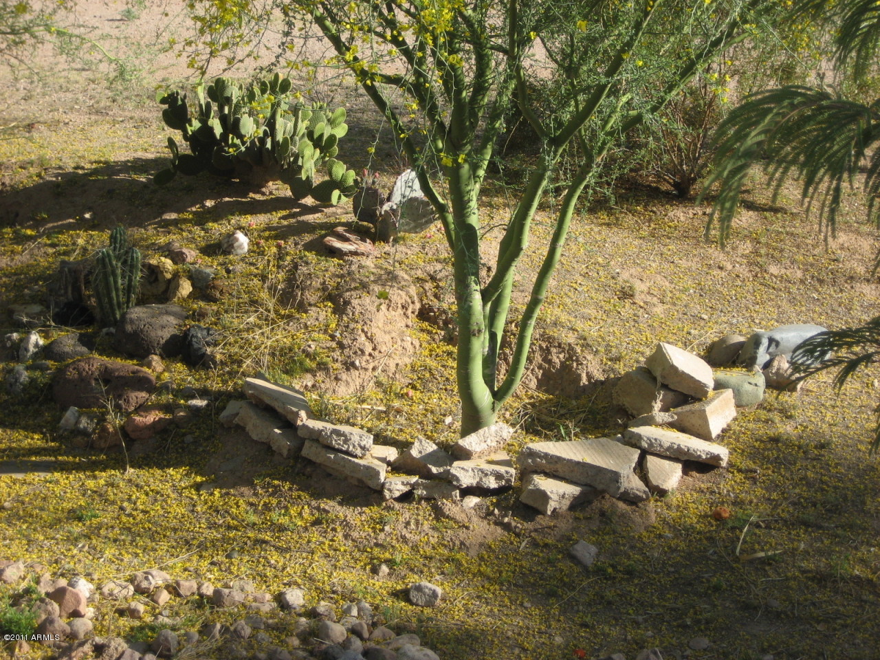 304 South Cactus Road Apache Junction, AZ 85119 - Photo 49 of 49 53