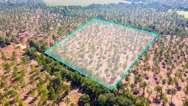 $130,000 | Lot 5 Bluffwood Road, Wagener, SC 29164