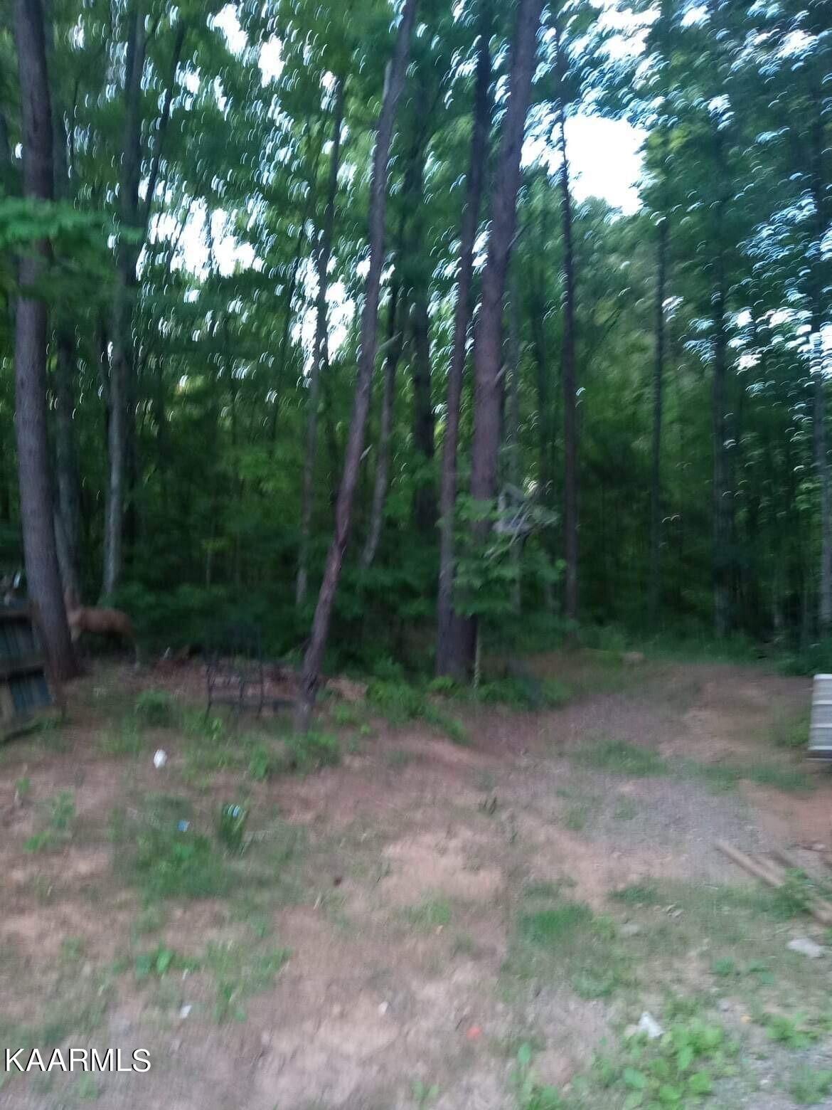 2880 Ballplay Road Madisonville, TN 37354 - Photo 6 of 7 thumbnail_IMG_8791