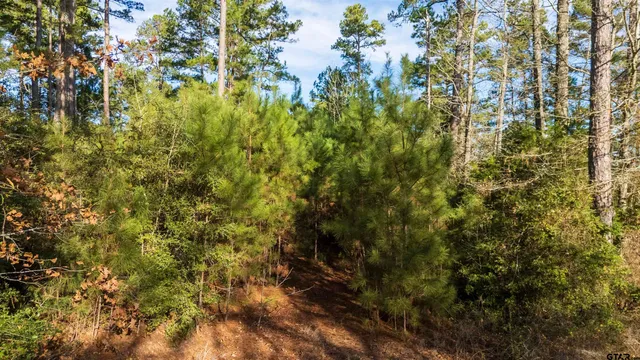$149,900 | Tbd Tbd Neches Trace, Palestine, TX 75803