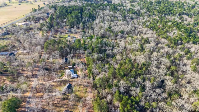 a view of a field with trees