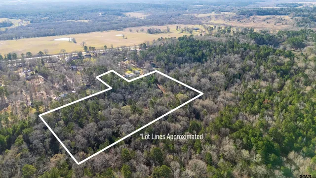 a view of outdoor space and garden