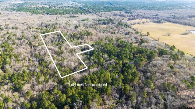 a view of a city with lush green forest