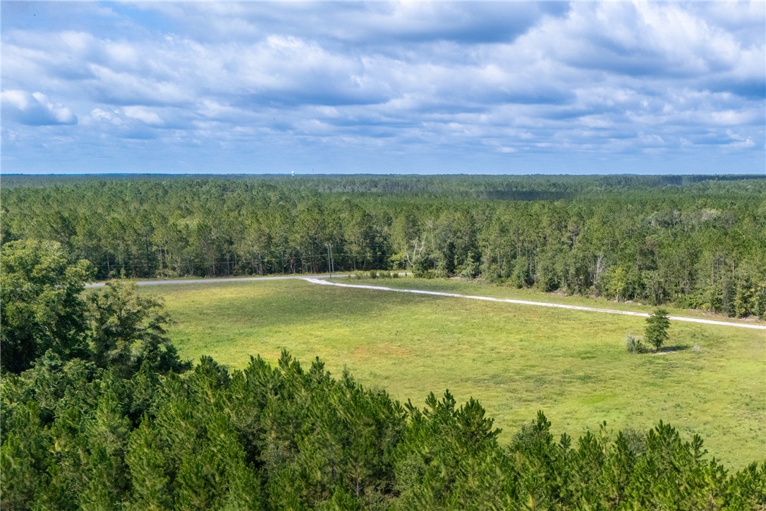 4600 Alma Highway Waycross, GA 31503 - Photo 11 of 12