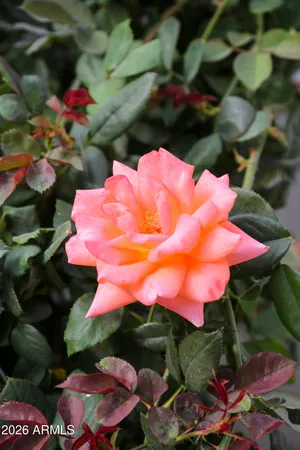 $845,000 | 6625 East Culver Street, Scottsdale, AZ 85257