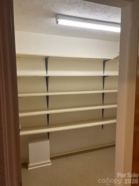 6418 Casar Road Casar, NC 28020 - Photo 20 of 38 a view of walk in closet with empty racks