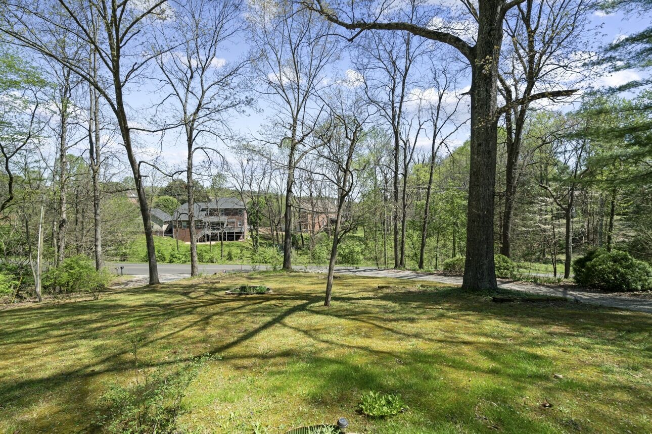 7704 Chester Road Fairview, TN 37062 - Photo 12 of 19 a view of a tree in a yard