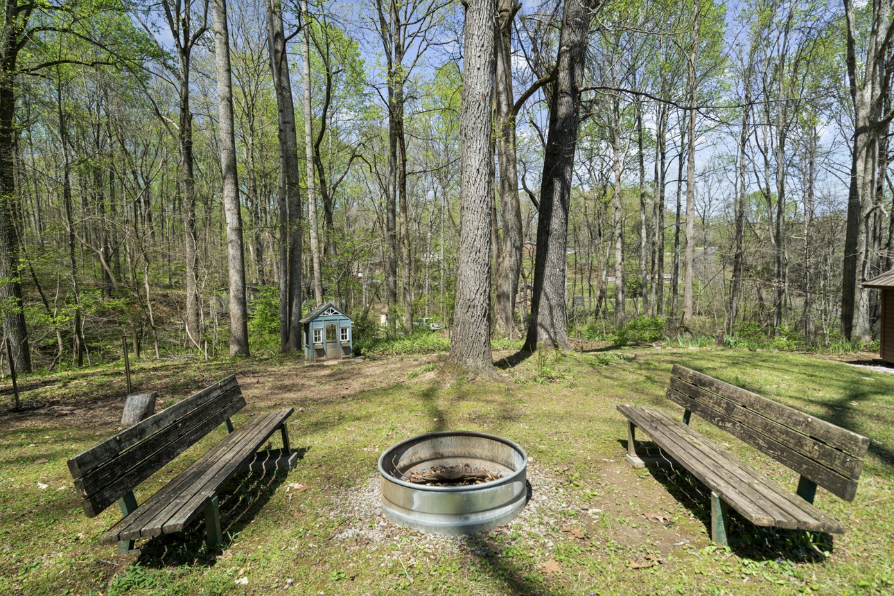 7704 Chester Road Fairview, TN 37062 - Photo 6 of 19 a view of a backyard with plants and a patio