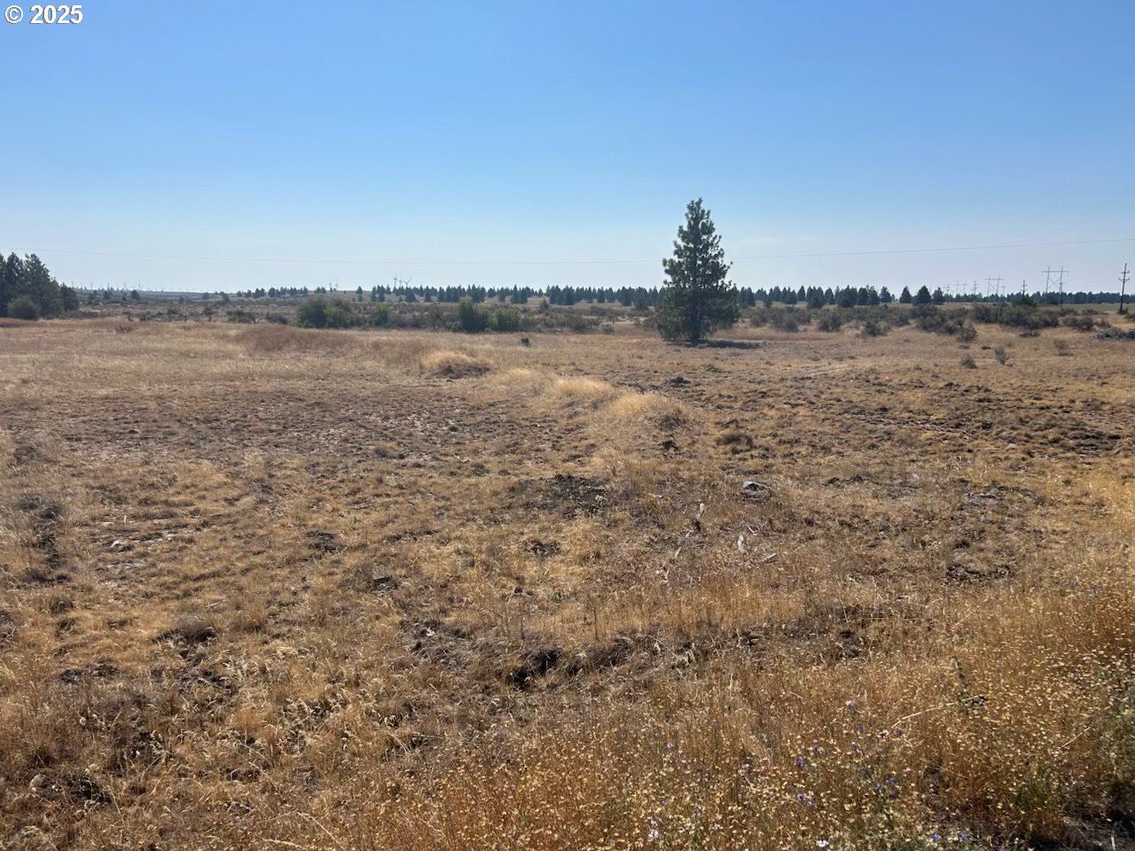 a view of a lake view