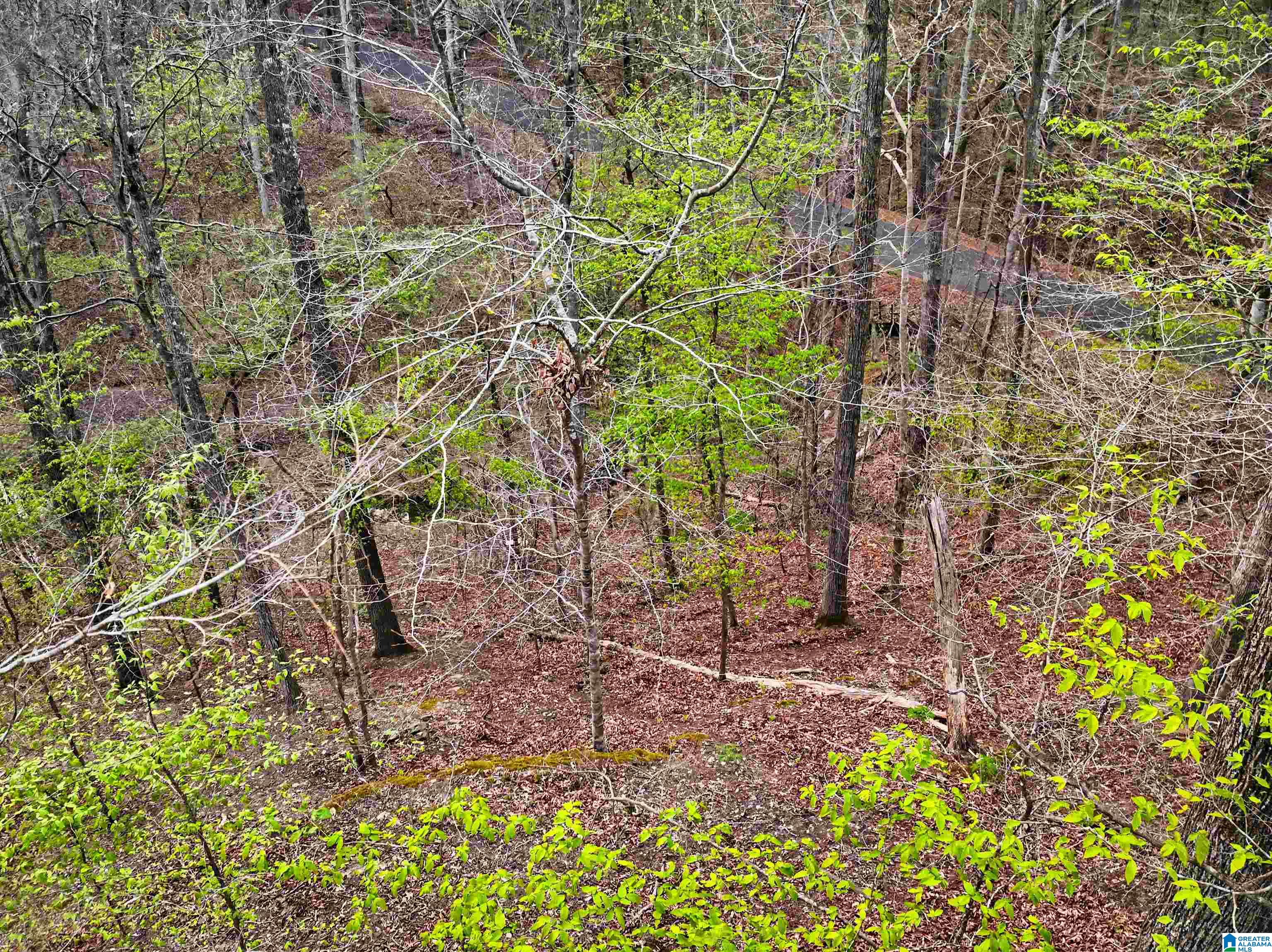 841 Raintree Drive, Unit 53 Alexander City, AL 35010 - Photo 15 of 17
