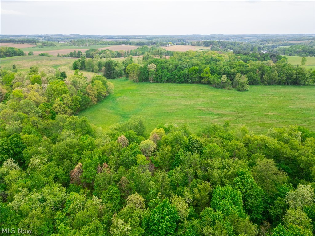 Emerick Road Summitville, OH 43962 - Photo 42 of 47