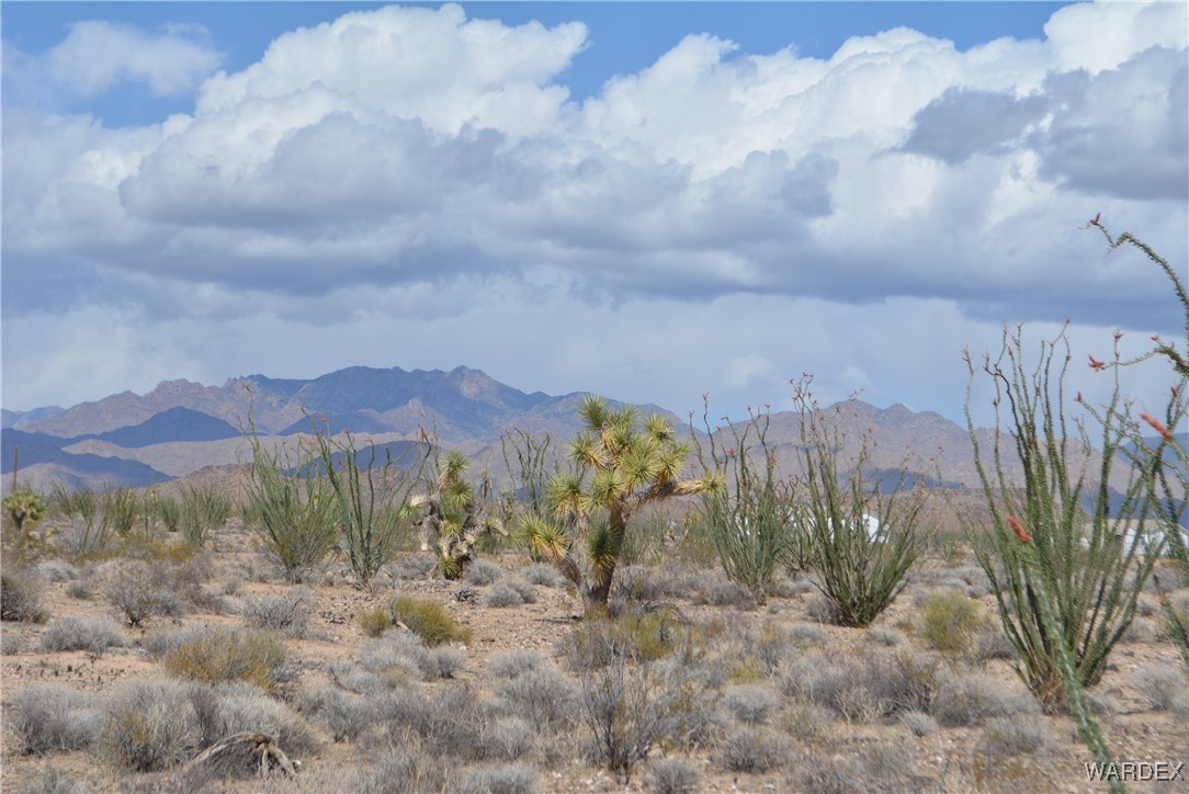 245-24-107 South Rainbow Road Yucca, AZ 86438 - Photo 1 of 91