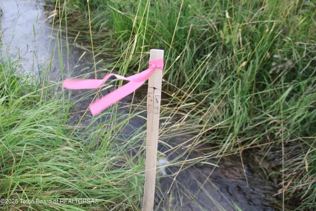 $115,000 | 145 Rockbridge Drive, Afton, WY 83110