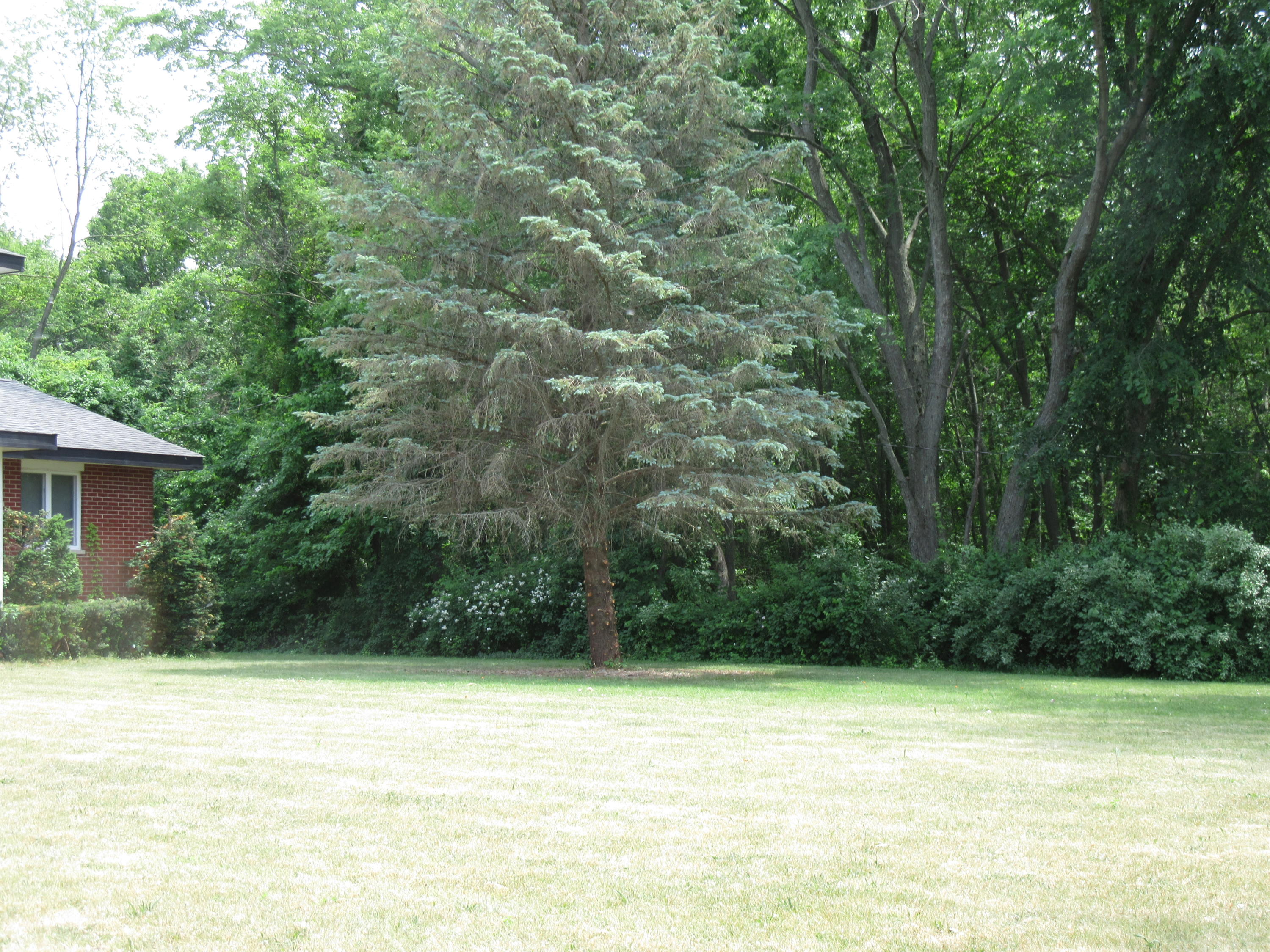 9767 Gast Road Bridgman, MI 49106 - Photo 5 of 43 IMG_0983