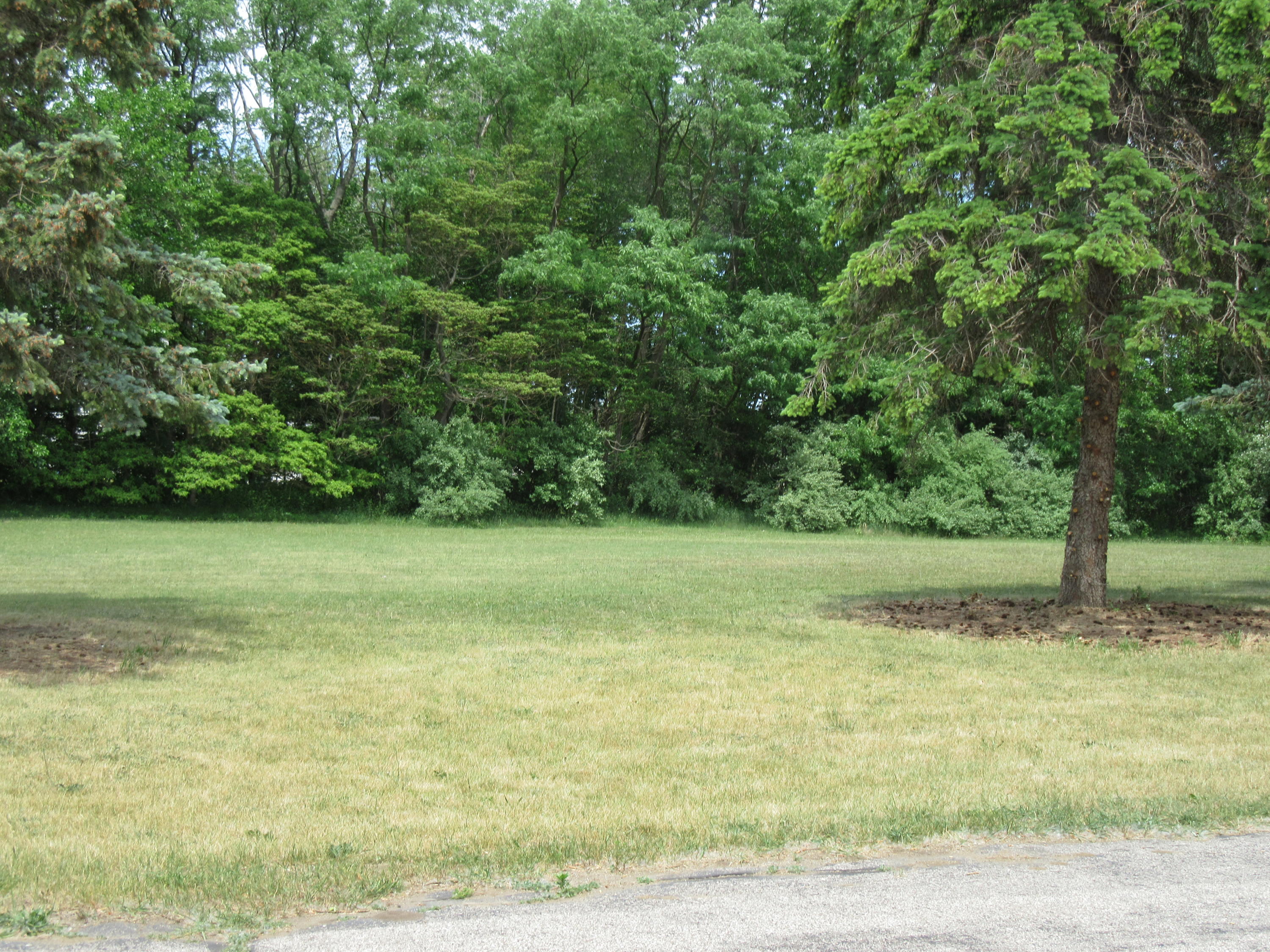 9767 Gast Road Bridgman, MI 49106 - Photo 6 of 43 IMG_0984
