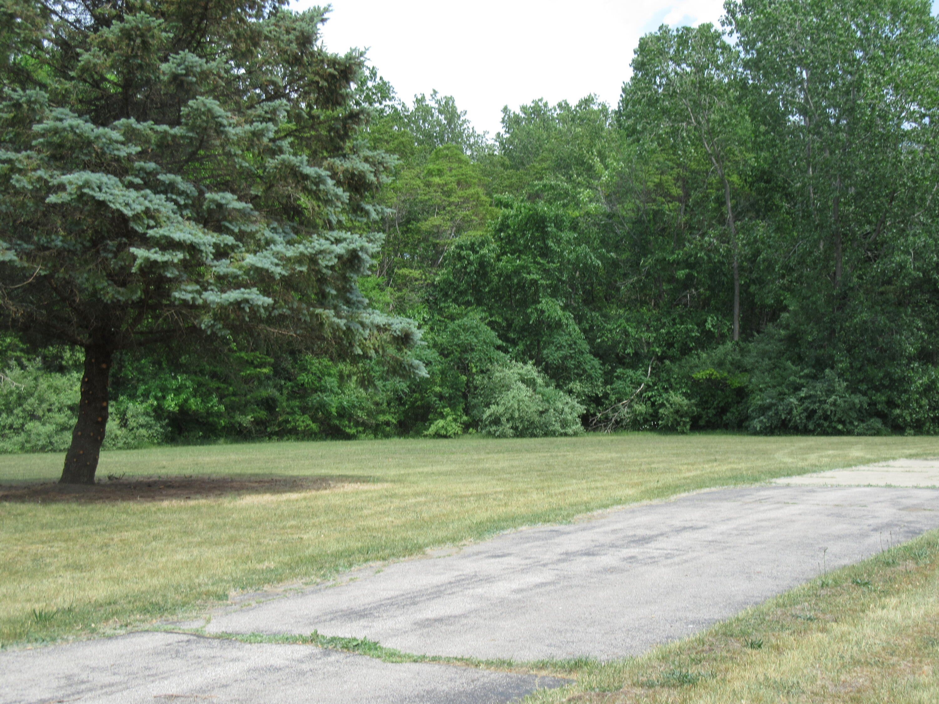 9767 Gast Road Bridgman, MI 49106 - Photo 7 of 43 IMG_0985
