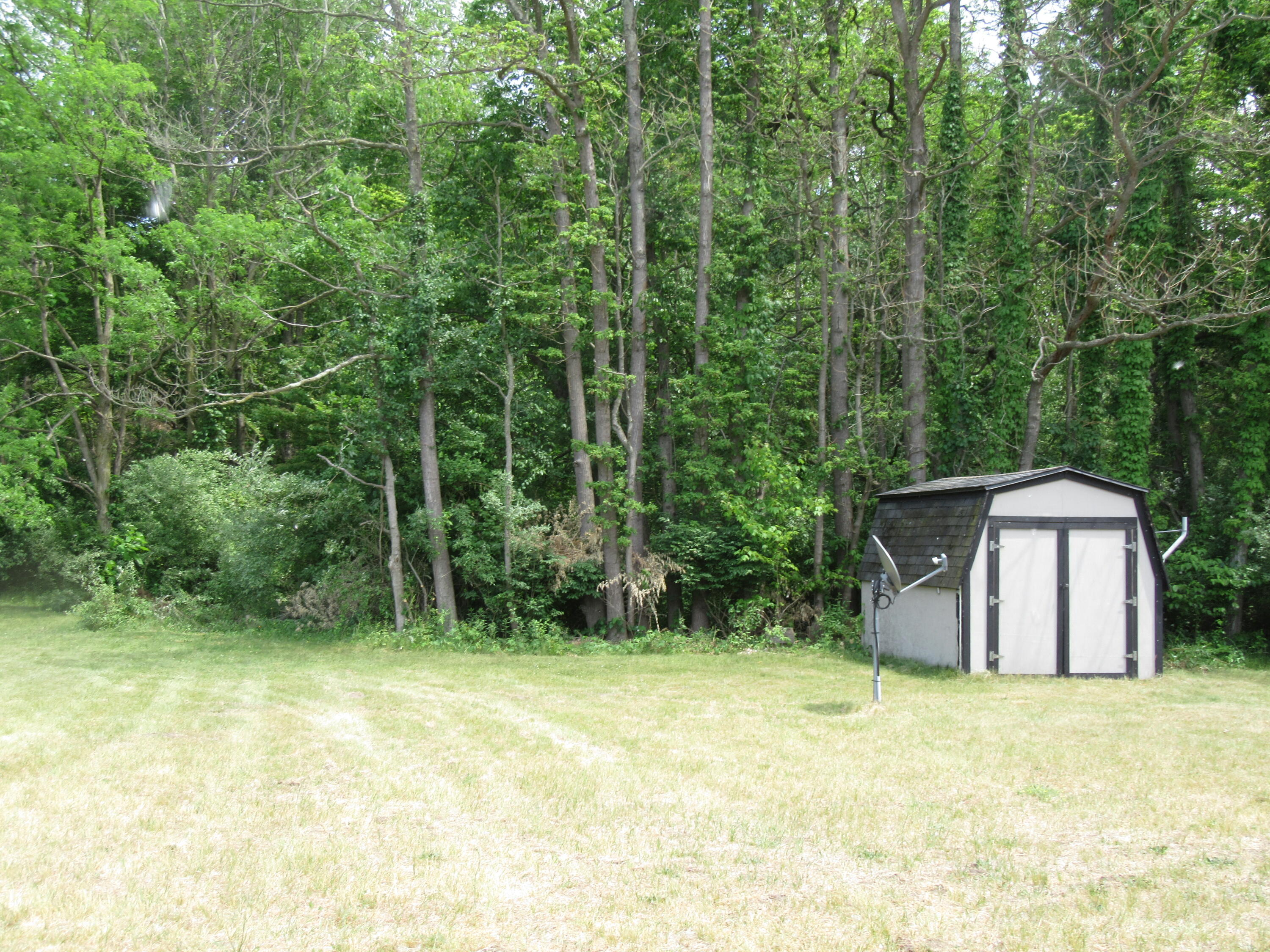 9767 Gast Road Bridgman, MI 49106 - Photo 8 of 43 IMG_0987