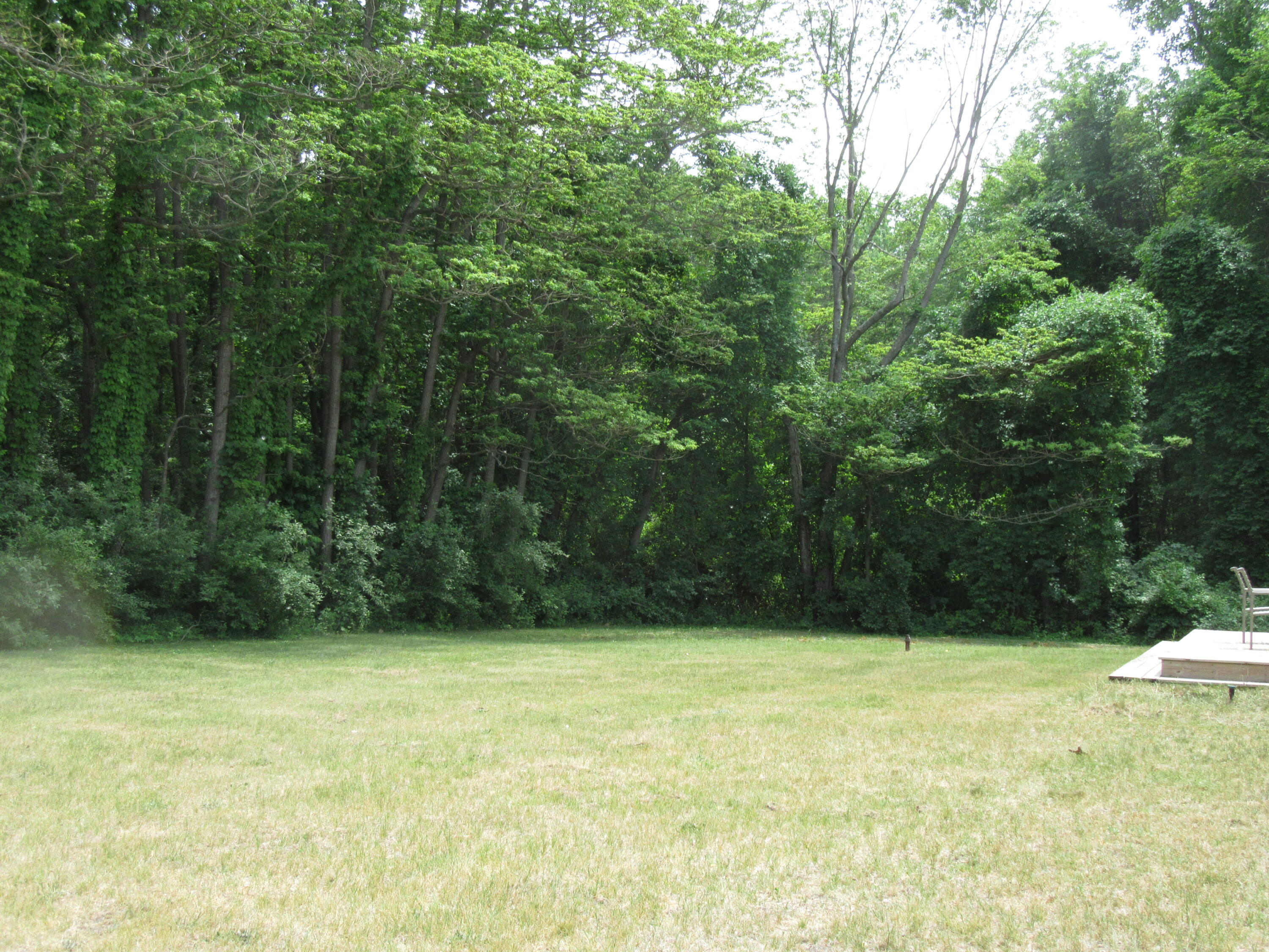 9767 Gast Road Bridgman, MI 49106 - Photo 9 of 43 IMG_0988