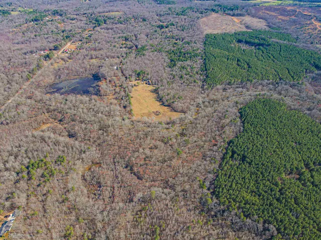 a view of a dry yard