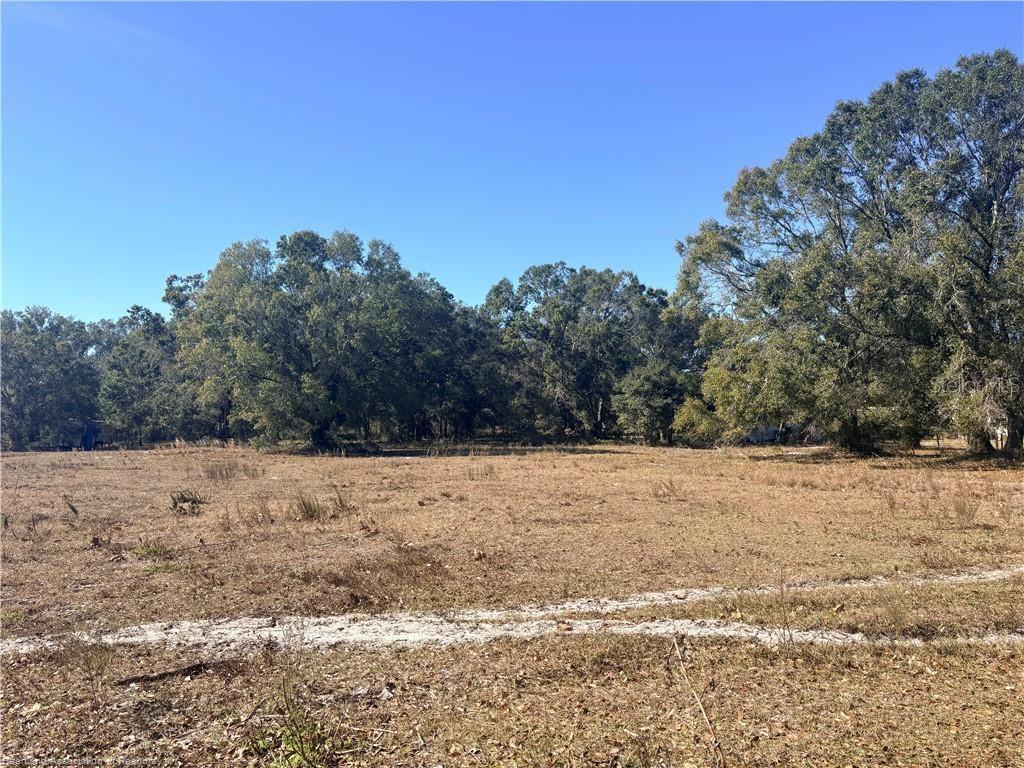 1103 Finbar Way Wauchula, FL 33873 - Photo 3 of 3