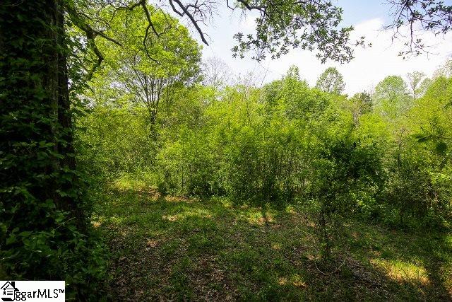 175 Reeves Lane Lyman, SC 29365 - Photo 10 of 27 Gallery Image 10