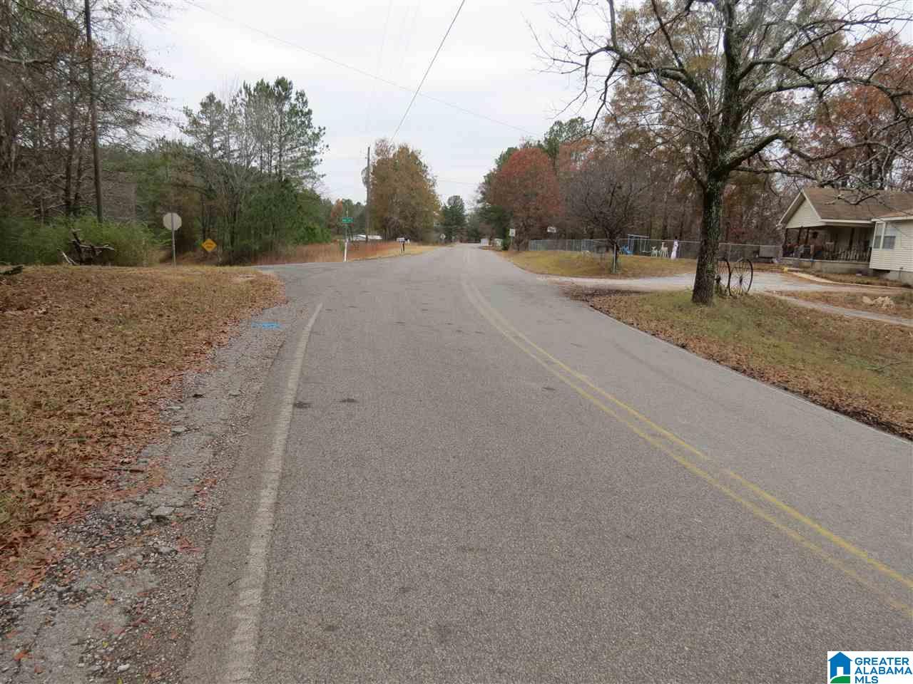 3130 Nail Road Warrior, AL 35180 - Photo 3 of 17