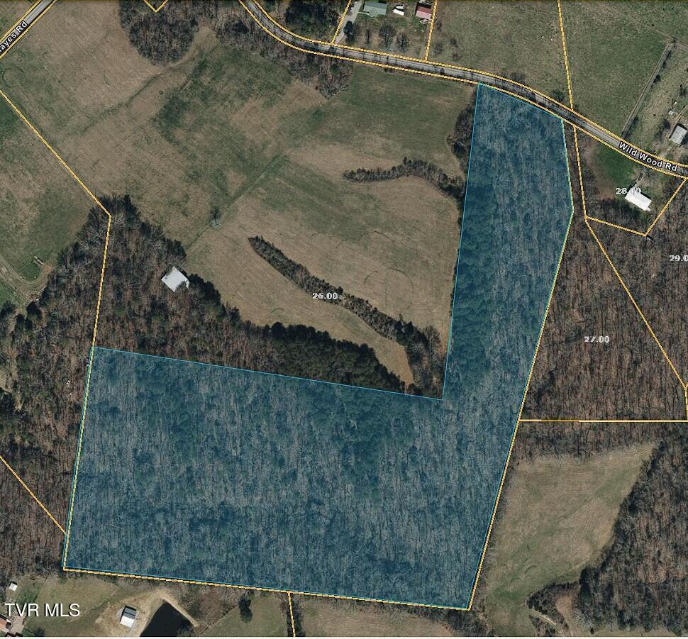 Tbd Wildwood Road, Unit TRACK 2 Mosheim, TN 37818 - Photo 1 of 4 Screenshot 2025-06-09 212913