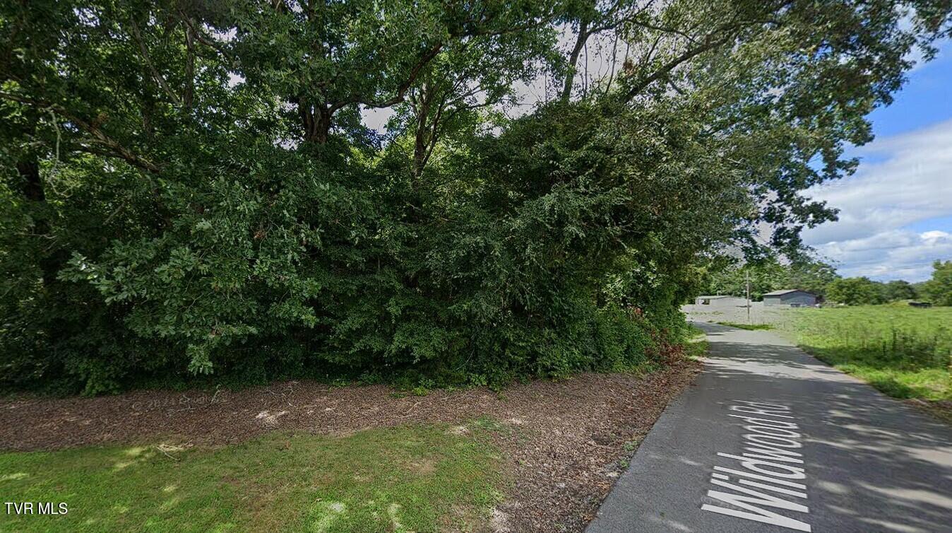 Tbd Wildwood Road, Unit TRACK 2 Mosheim, TN 37818 - Photo 2 of 4 Screenshot 2025-06-09 214453