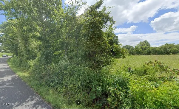 $189,000 | Tbd Wildwood Road, Unit TRACK 2, Mosheim, TN 37818