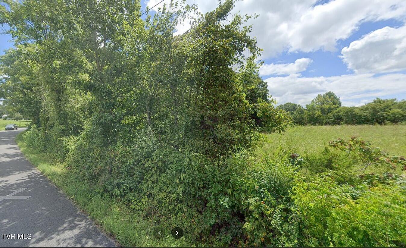 Tbd Wildwood Road, Unit TRACK 2 Mosheim, TN 37818 - Photo 3 of 4 Screenshot 2025-06-09 214530