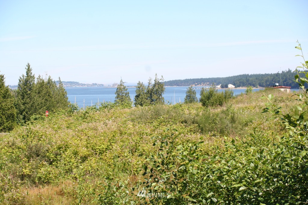 0 George Street Port Hadlock, WA 98339 - Photo 1 of 1 Gallery Image 1
