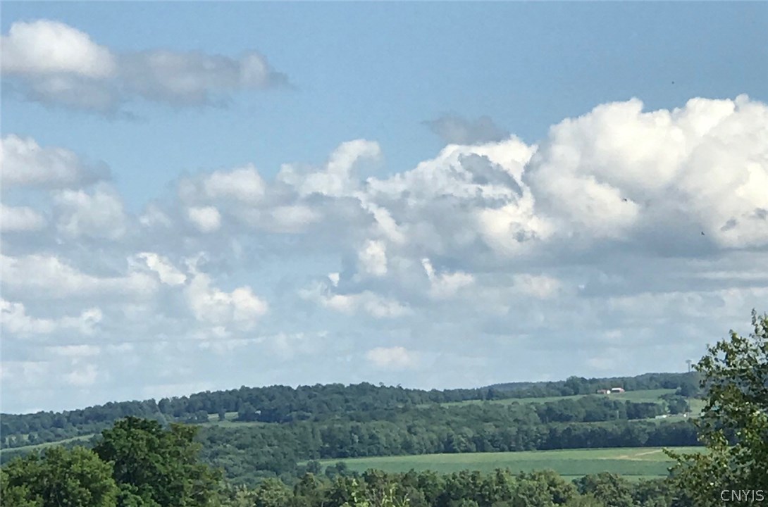 Lot D1 North Road Owasco, NY 13021 - Photo 1 of 1 Who wouldn't want to have this view?