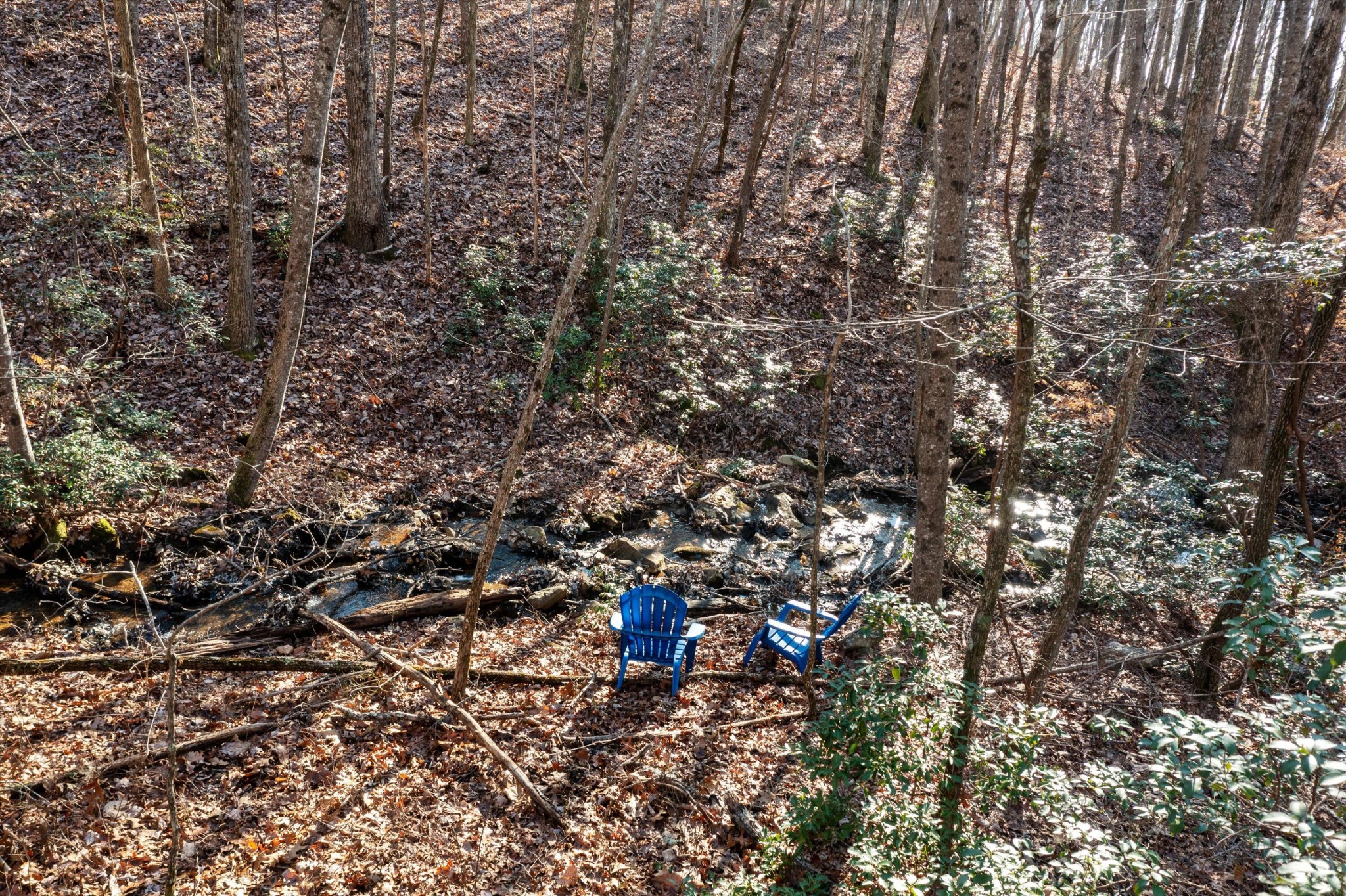 0 Cherokee Path Jasper, TN 37347 - Photo 7 of 21 a view of a tree