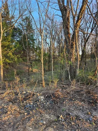 $8,500 | 62 South Linn Valley Drive, Linn Valley, KS 66040
