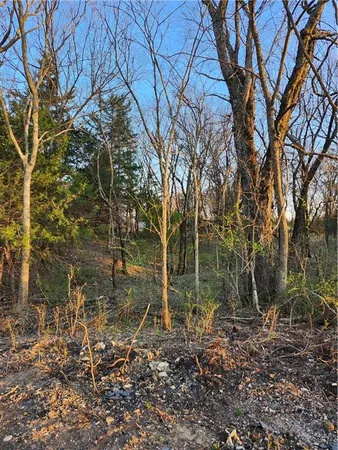 $8,500 | 62 South Linn Valley Drive, Linn Valley, KS 66040