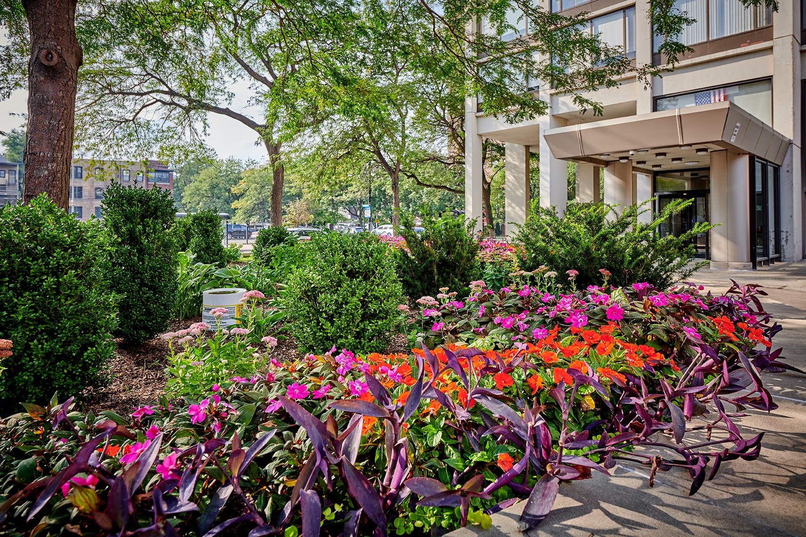 5455 North Sheridan Road, Unit 3811 Chicago, IL 60640 - Photo 2 of 35 a view of a flower in a garden