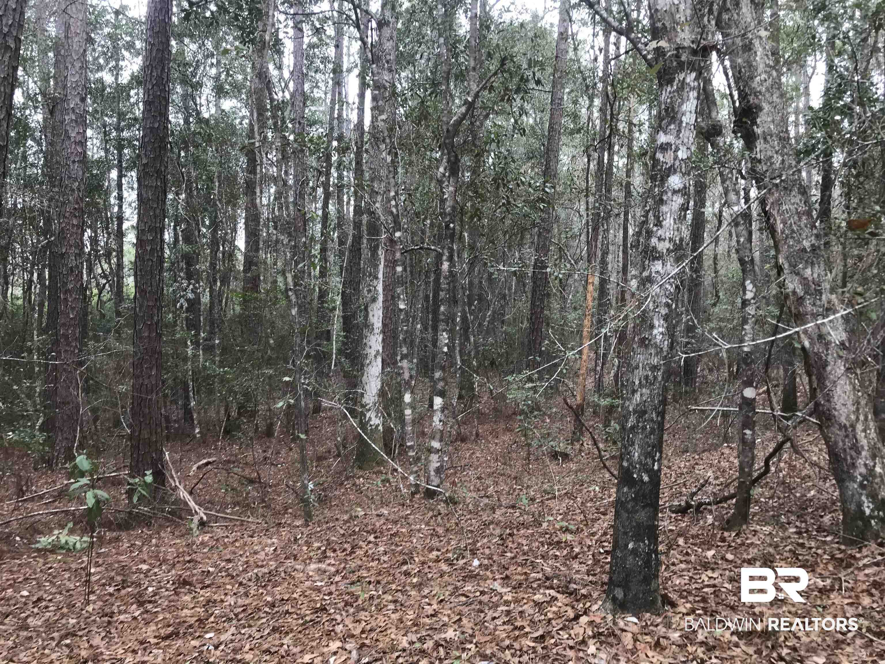 0 Lambert Cemetery Road Citronelle, AL 36522 - Photo 3 of 4