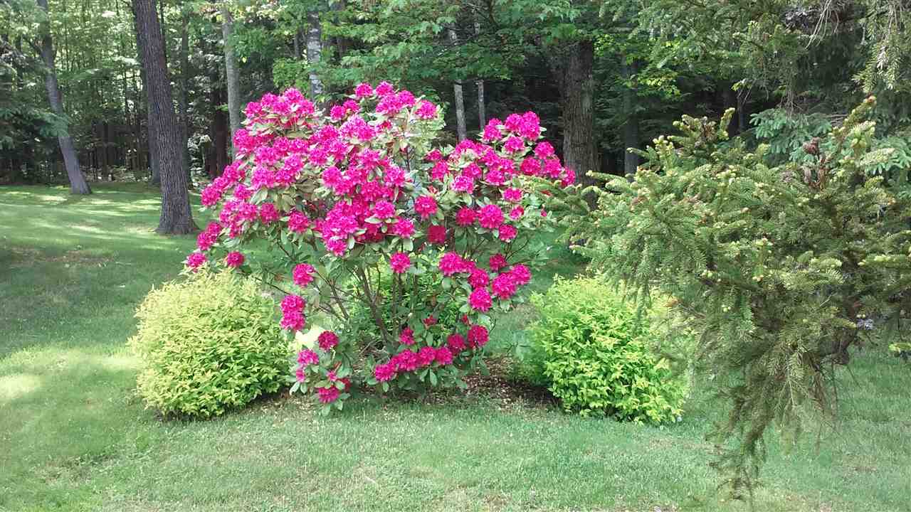 59 Stage Road Deerfield, NH 03037 - Photo 6 of 40