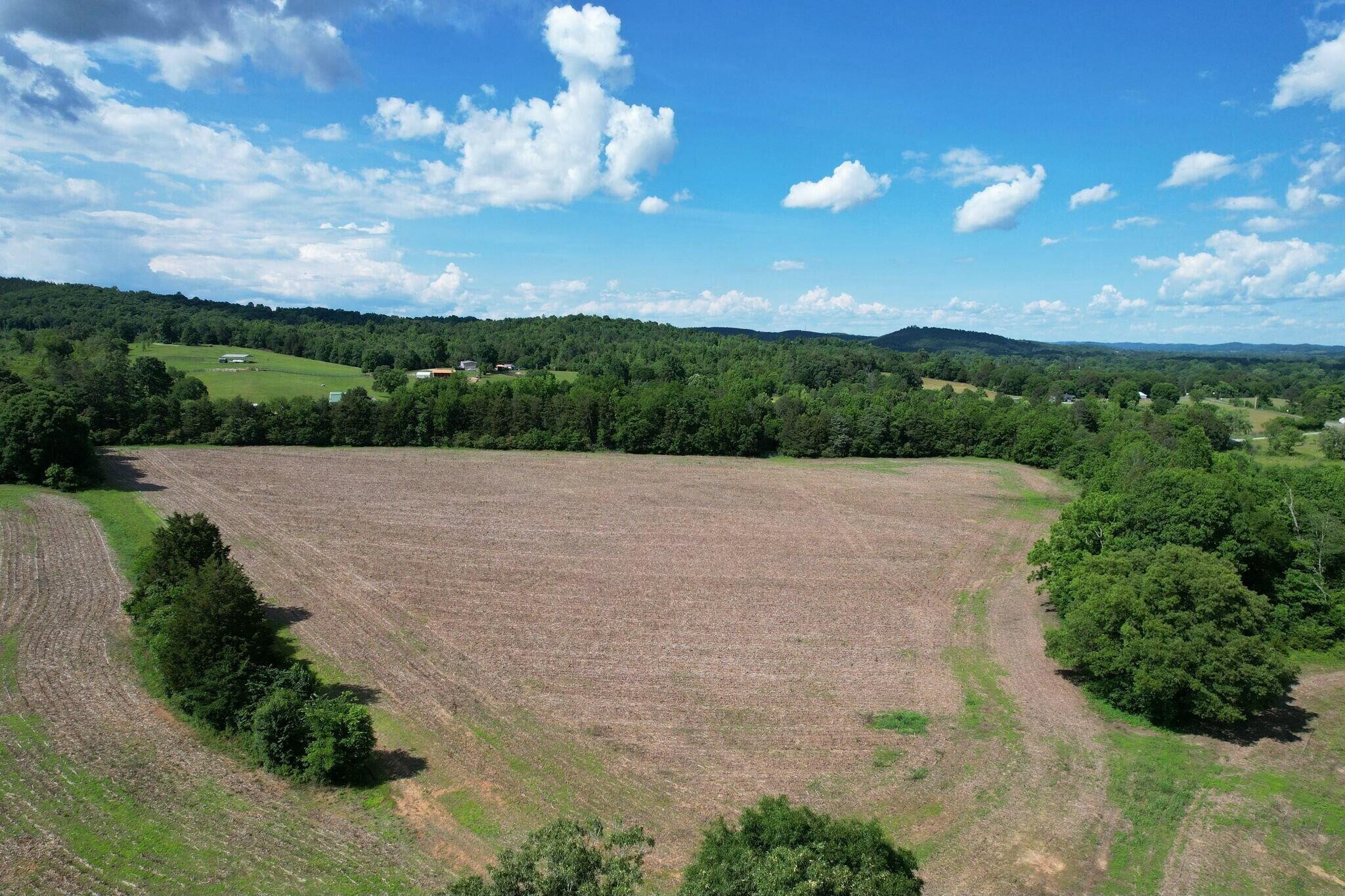 0 Lankford Ridge Road Decatur, TN 37322 - Photo 1 of 12