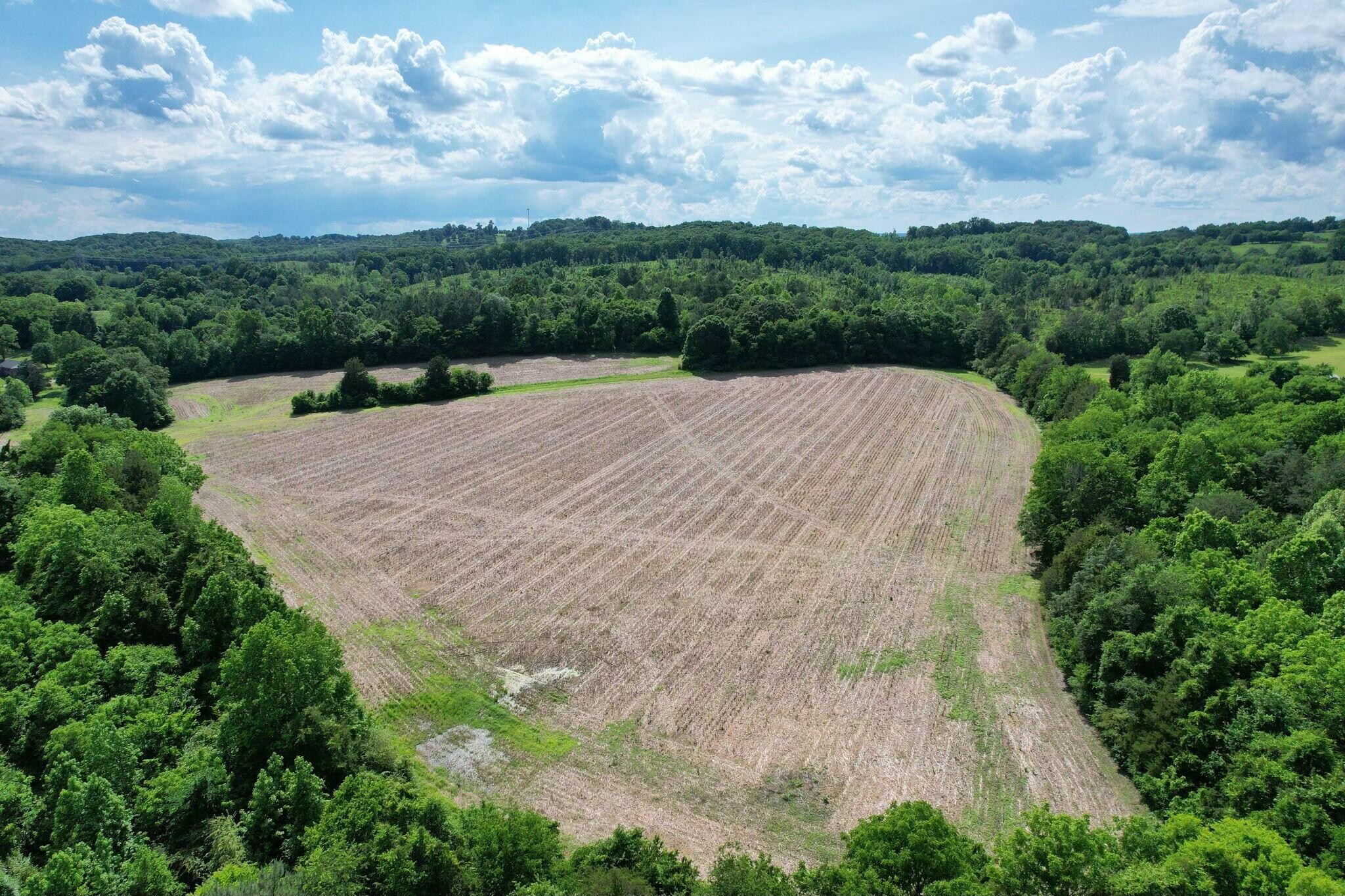 0 Lankford Ridge Road Decatur, TN 37322 - Photo 5 of 12