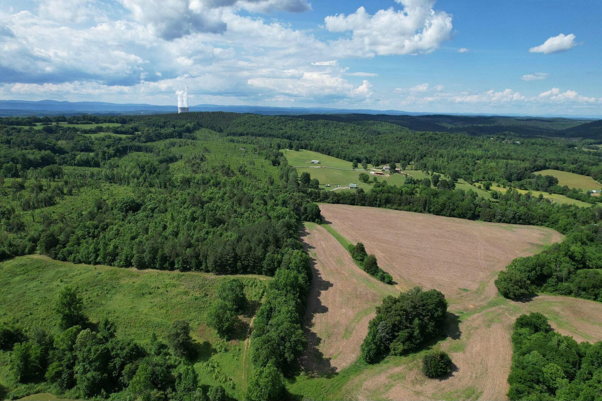 0 Lankford Ridge Road Decatur, TN 37322 - Photo 8 of 12