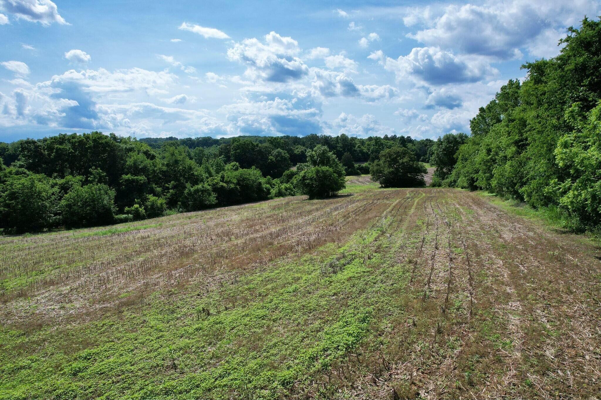 0 Lankford Ridge Road Decatur, TN 37322 - Photo 9 of 12