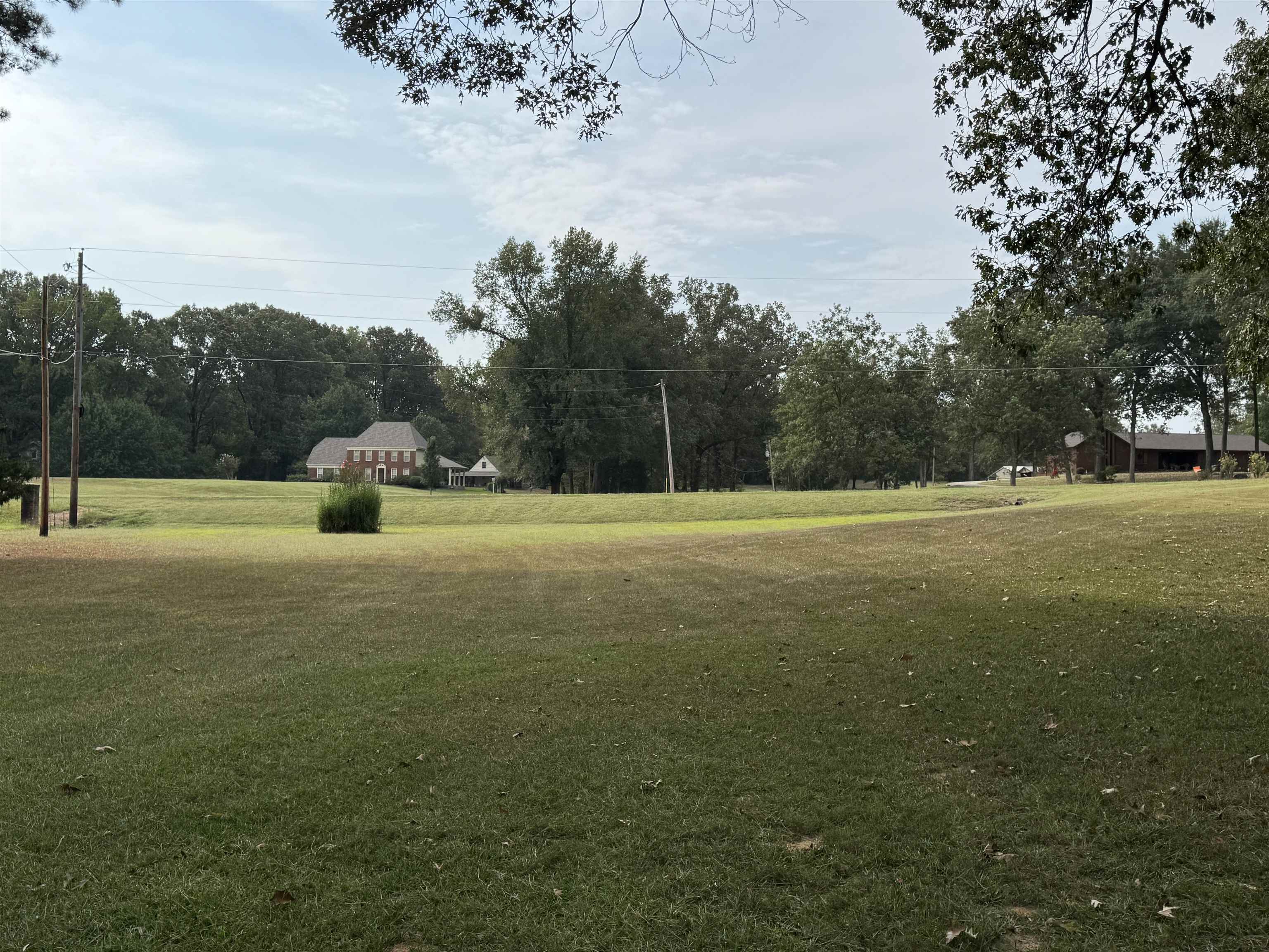 240 Big Bell Loop Eads, TN 38028 - Photo 2 of 4 a view of outdoor space with green field and trees all around